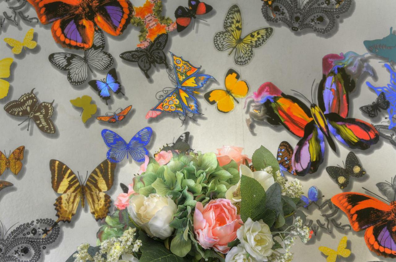 Sevilla Butterfly Suites Dış mekan fotoğraf