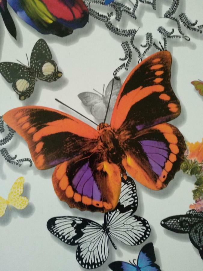Sevilla Butterfly Suites Dış mekan fotoğraf