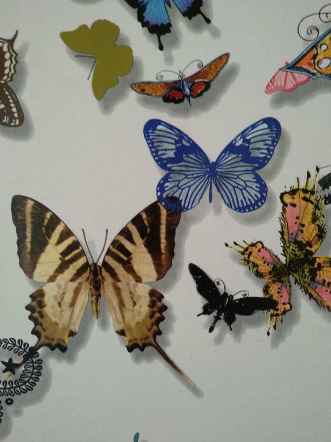 Sevilla Butterfly Suites Dış mekan fotoğraf